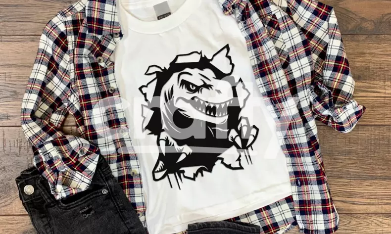 Img Product