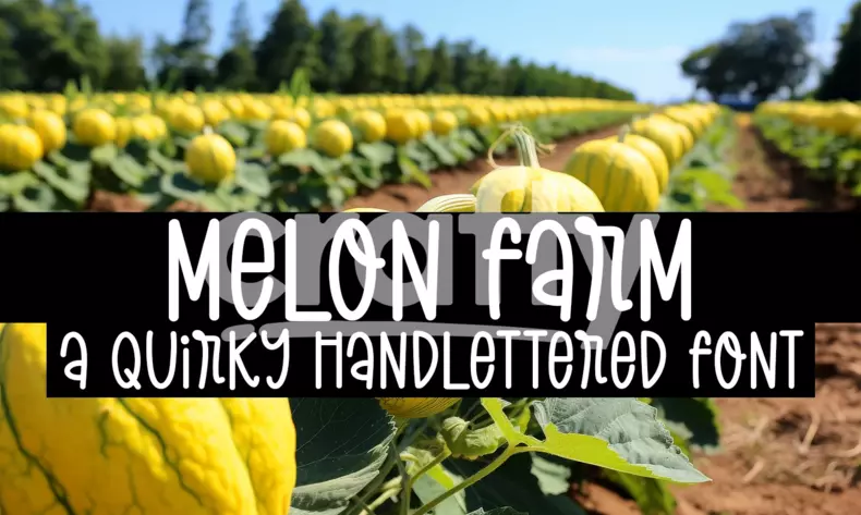 Melon Farm - A Quirky Handlettered Font | Crafty