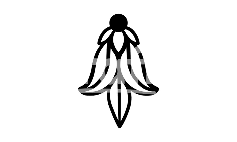 Img Product